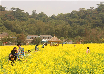 Doumen's rural charm beckons families for New Year's