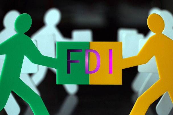 China's FDI up 4.8% in January