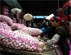 Guangxi's trade with B&R countries grows in 2018 