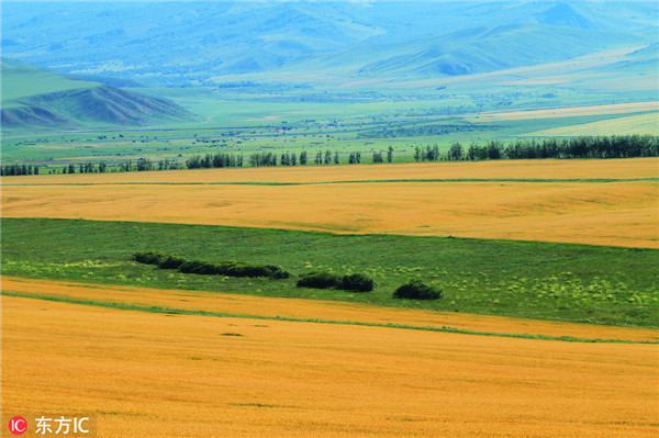 Inner Mongolia announces 2019 agriculture targets