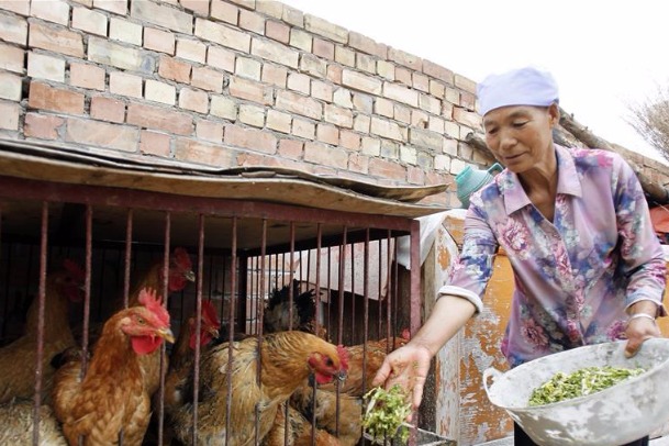 Poverty alleviation gains momentum