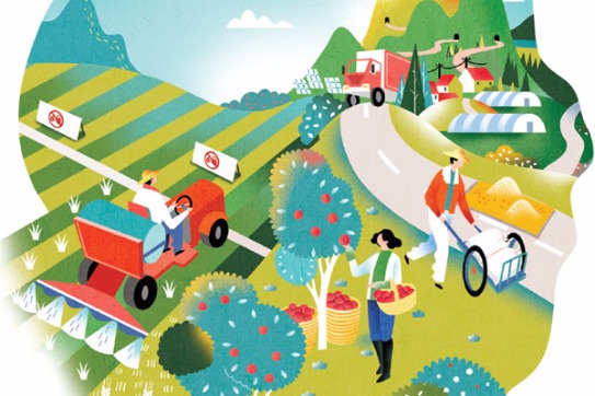 Rotating use of farmland will bring a harvest of new growth