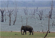 Sri Lanka in bid to attract more Chinese tourists