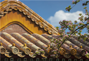 Palace Museum (Beijing)