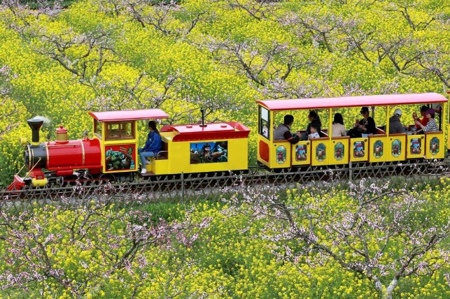 China to conduct tourism safety check and rectification