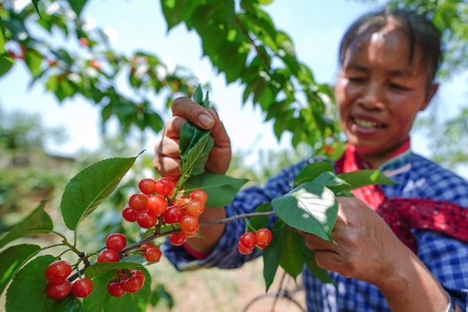 China's leading anti-poverty foundation helps over 30m people