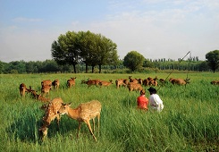 Picturesque Baotou