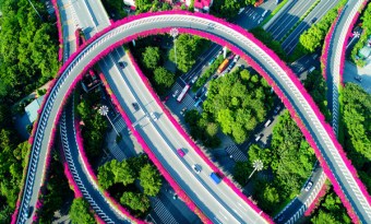 Winter views in Guangzhou