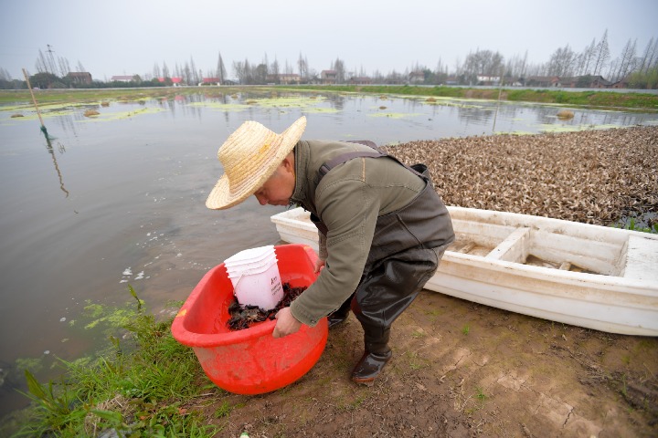 Well-tuned steps urged for poverty eradication