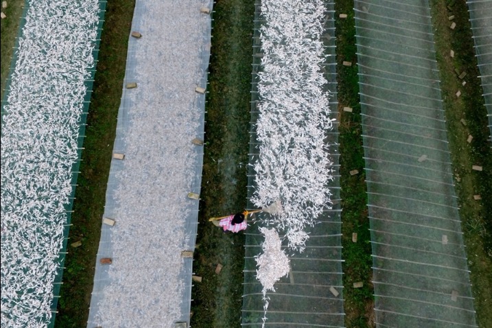 China extends helping hand in aquaculture