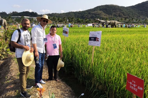 China boasts world's most applications for new agricultural plant varieties rights