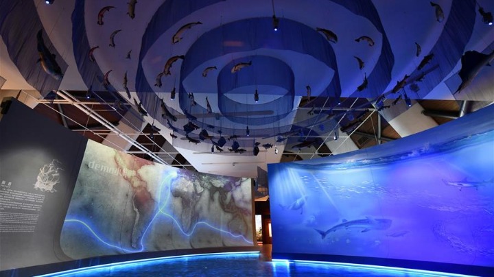 China's national maritime museum to begin trial operation on May 1