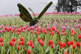 Huahua town in Guiyang