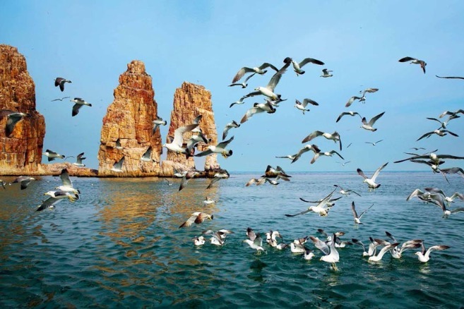 Photo exhibition brings 'Beautiful China' to world