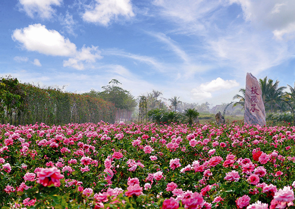 Yalong Bay International Rose Valley (Sanya)