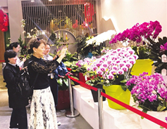 Shanxi horticulture attracts the crowds in Beijing