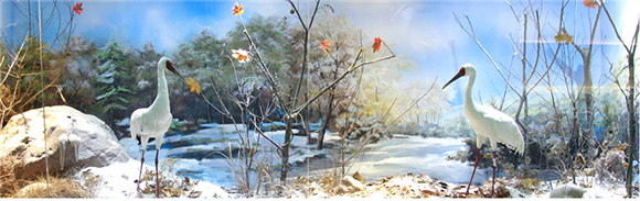 Ecomuseum of World Animals (2).png