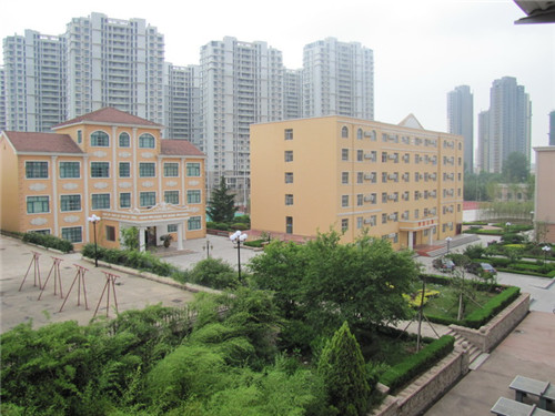 青岛志贤中学 (2).jpg