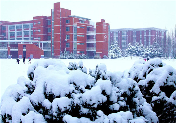 青岛职业技术学院 (2).jpg