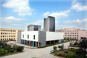 琴岛学院 (2).jpg