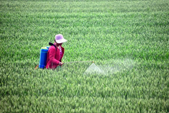 Food safety aims for global goals