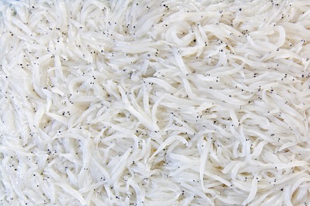 Taihu Lake Silver Fish