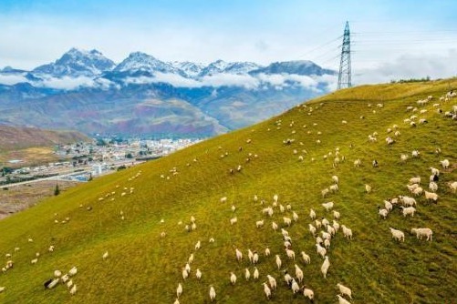 国土空间规划体系 (guótǔ kōngjiān guīhuà tǐxì): Territorial space planning system
