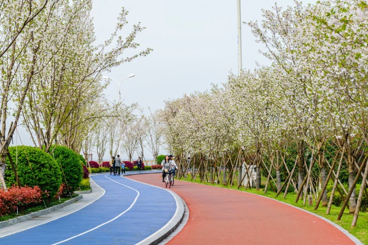 绿色出行行动计划 (lǜsè chūxíng xíngdòng jìhuà): Green travel action plan