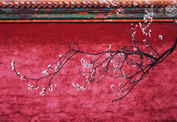 'Red wall' opens doors in Beijing