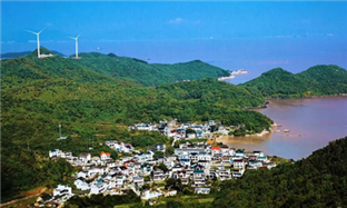 Senior official stresses modernization of rural governance system, capacity