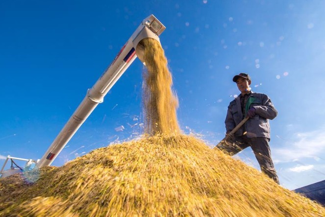 质量兴农战略规划 (zhìliàng xīngnóng zhànlüè guīhuà): Plan to boost high-quality development of agriculture