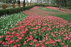 Botanical Garden, Shenyang