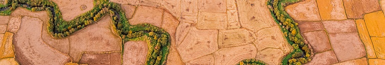 Heilongjiang province