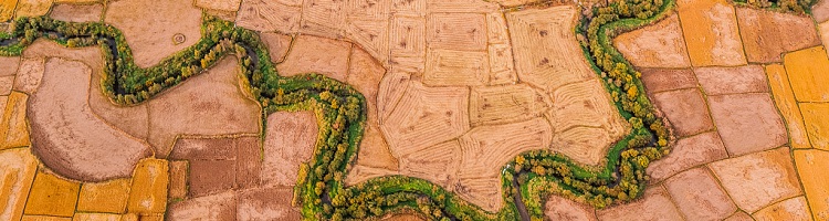 Heilongjiang province