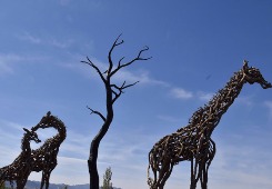 Tips on visiting Beijing Expo 2019