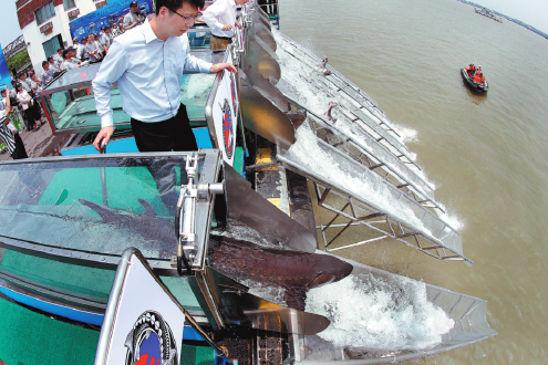 Yangtze conservation paying off