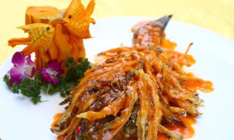 Lion-shaped Fish (金毛狮子鱼/Jinmao Shizi Yu)