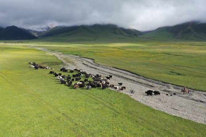 China launches pilot demonstration of rural governance