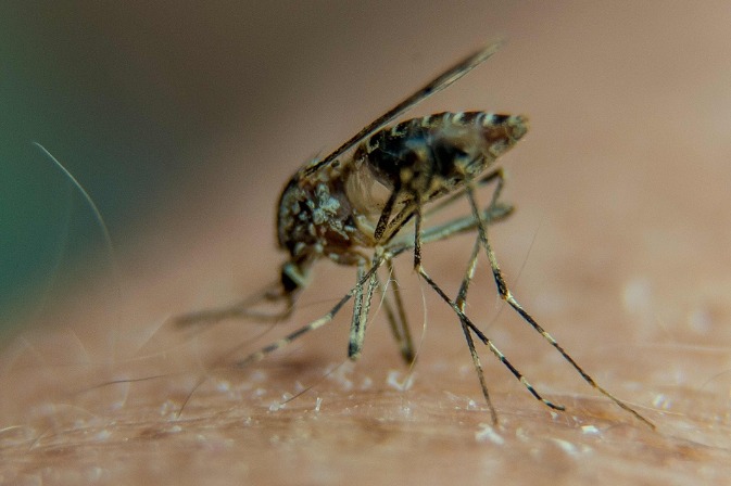 Country's first tropical diseases branch opens at hospital in Hainan