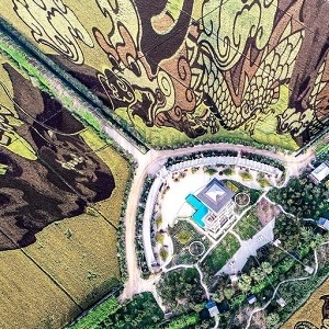 Theme tour 7: Explore extraordinary sites in Shenyang