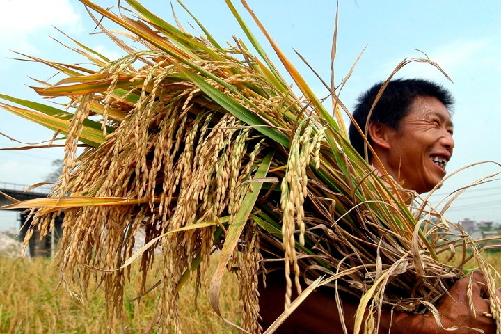 优质粮食工程 (yōuzhì liángshí gōngchéng): Quality grain project