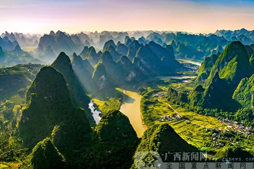 Guangxi makes great progress in forestry