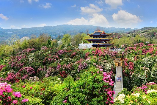 Visitors attracted to China's 'natural oxygen bars' for recreation