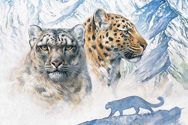 The Glories of the Minya Konka