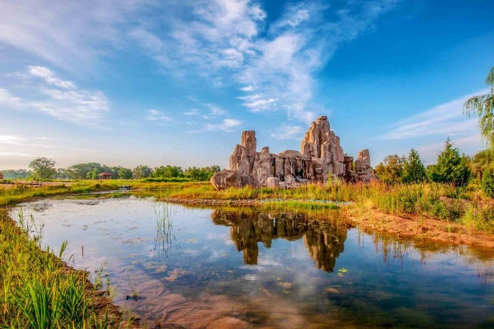 China pushes for forest tourism