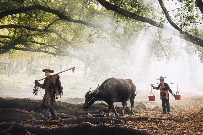 100 bln yuan credit line planned to finance rural tourism