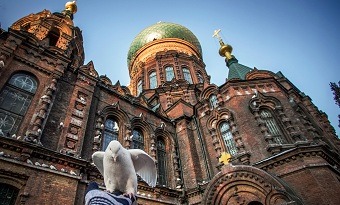 Heilongjiang in the new era