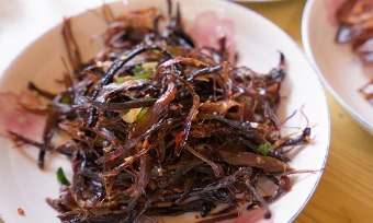 Qilian yak (祁连牦牛/qí lián máo niú)