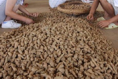 Chinese medical herb approved by US botanical council