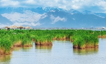 Exploring Ningxia's splendid cultural heritage